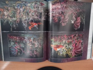 Warhammer Archaon tapa dura