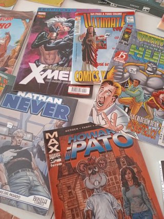 Lote 50 Cómics Variados (Batman, Bone, etc.)