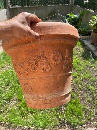 Lote de 7 Macetas de Terracota y Plástico