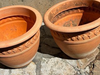 Lote de 7 Macetas de Terracota y Plástico