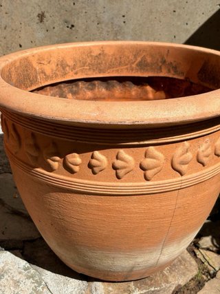 Lote de 7 Macetas de Terracota y Plástico