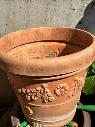 Lote de 7 Macetas de Terracota y Plástico