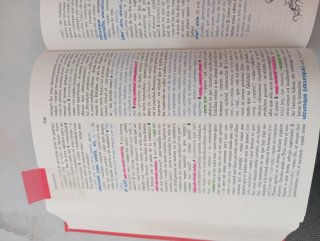 Diccionario Latín (Spanish Edition)