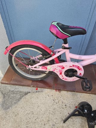 Bicicleta B-Pro 16 Rosa con ruedines