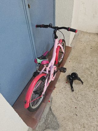 Bicicleta B-Pro 16 Rosa con ruedines