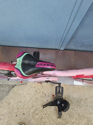 Bicicleta B-Pro 16 Rosa con ruedines
