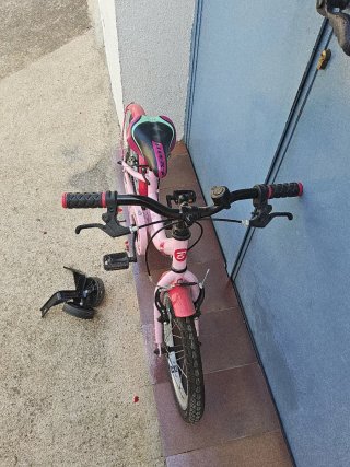 Bicicleta B-Pro 16 Rosa con ruedines