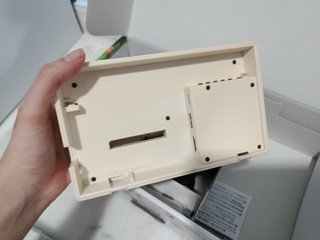 Nintendo Switch Edizione Animal Crossing