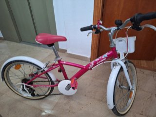 Bicicleta niña 20 pulgadas BTWIN
