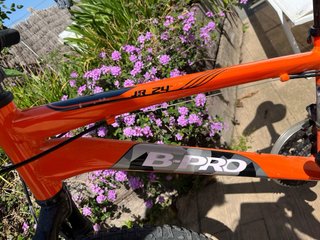 Bicicleta juvenil naranja B-PRO