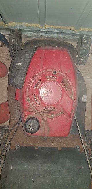 Cortacésped gasolina con recogedor