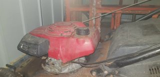 Cortacésped gasolina con recogedor