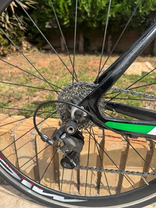 Bicicleta carbono Prestigio edición especial Came