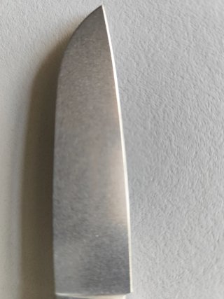 Navaja Petrified Fish Patte V2 con mango de olivo