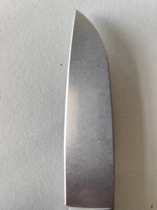 Navaja Petrified Fish Patte V2 con mango de olivo