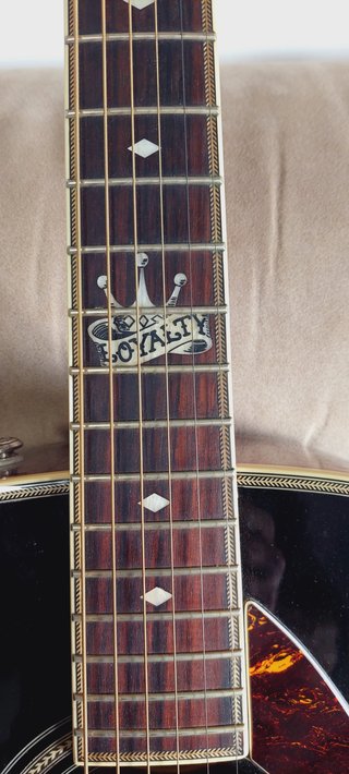 Guitarra Electroacústica Fender Emory Ron Loyalty