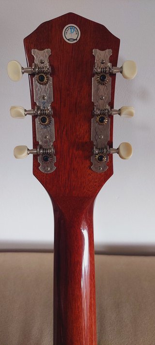 Guitarra Electroacústica Fender Emory Ron Loyalty