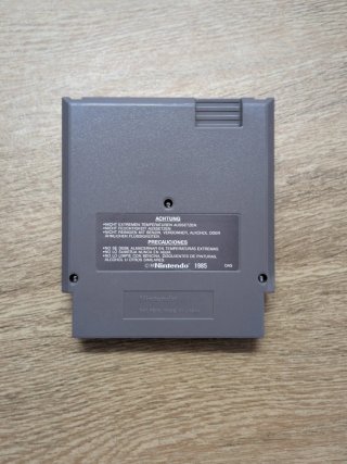 Iron Sword Wizards & Warriors II NES