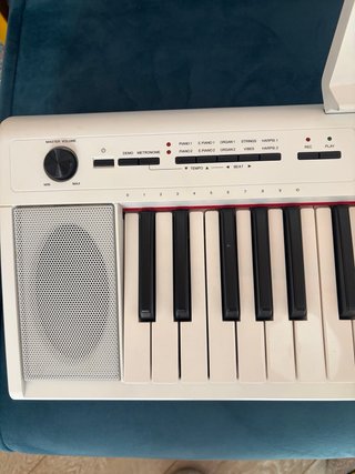 Yamaha +Funda(Piaggero NP12)