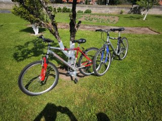 Bicicletas Globe Trotter 826