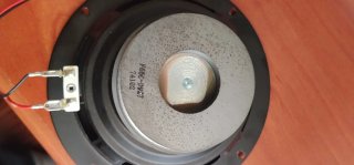 Altavoz grande