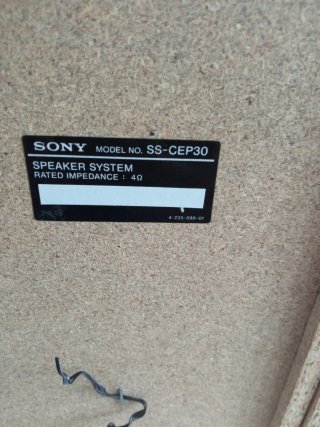 Altavoces Sony Marrones