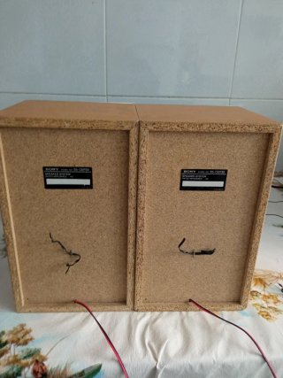 Altavoces Sony Marrones