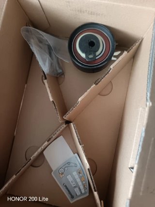Correa distribución Continental Seat Ibiza