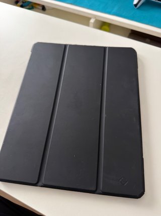 Funda iPad Pro M4