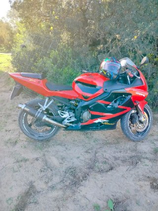 Honda CBR 600 fspor Roja y Negra