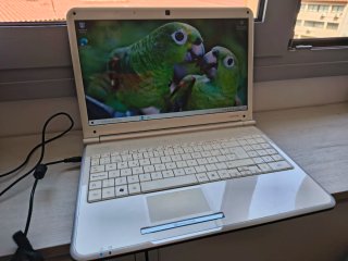 Portátil Packard Bell Easynote TJ66