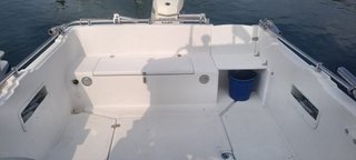 Embarcación pesca paseo. Barco. Lancha