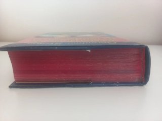 Geronimo Stilton Noveno viaje en el Reino