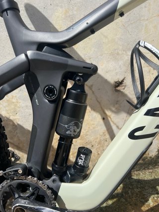 Canyon Strive CFR 2024