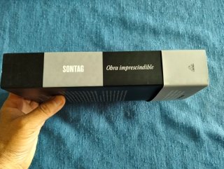 Susan Sontag: Obra imprescindible.