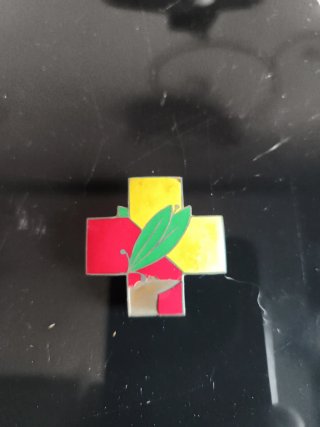 Insignia Asistencia Frentes Hospitales