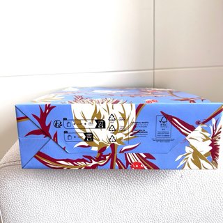 Bolsa Loewe Edición Limitada Paula's Ibiza