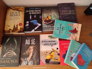 Lote de 11 Libros