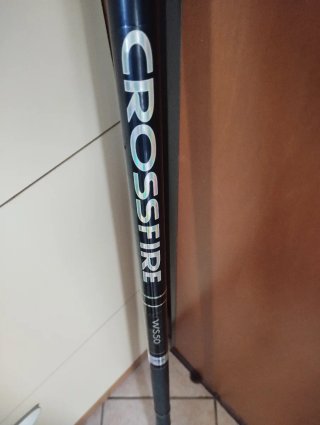Canna Bolognese Daiwa 5m Carbon