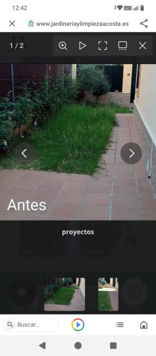 Empresa de jardinería y limpieza Acosta.