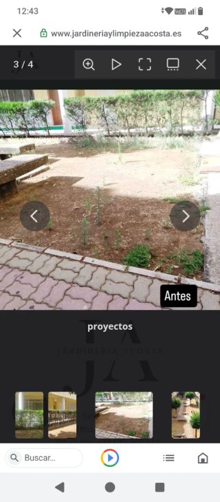 Empresa de jardinería y limpieza Acosta.