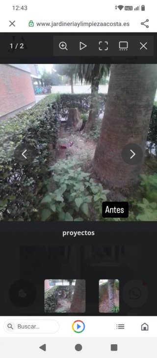Empresa de jardinería y limpieza Acosta.