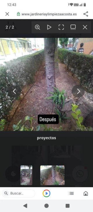 Empresa de jardinería y limpieza Acosta.