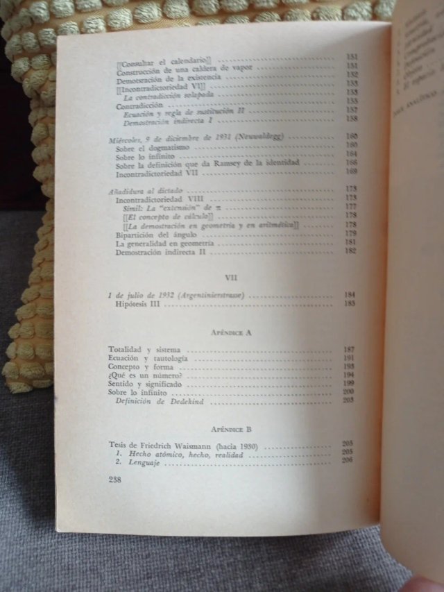 Ludwig Wittgenstein y el círculo de Viena