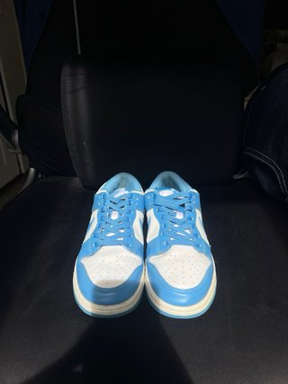 Nike Dunk