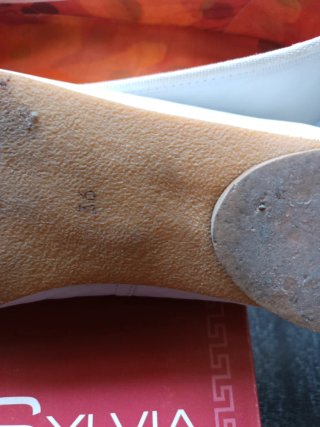 Bailarinas Sylvia ciolfi Piel Blancas