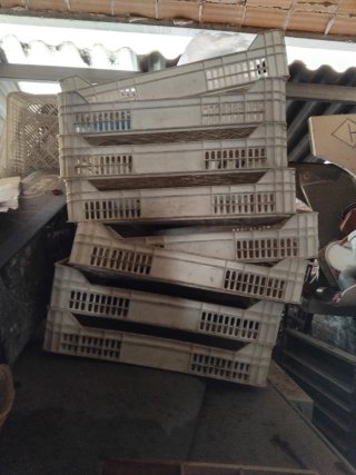 Cajas de plástico para panadería