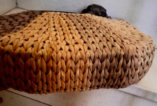 Borsa Paglia Intrecciato Nuova Beige/Marrone