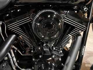 Harley-Davidson Fat Boy Special