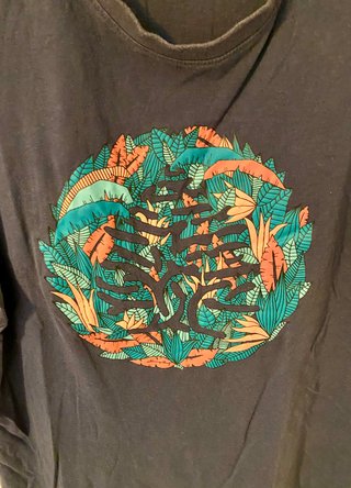 Camiseta de Springfield